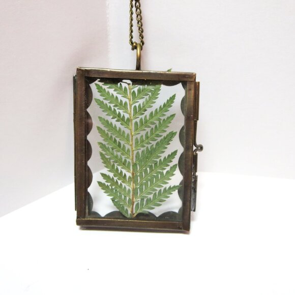Fern Necklace Pressed Fern charm dried ferm Terrarium pendant Botanical locket - Picture 6 of 11